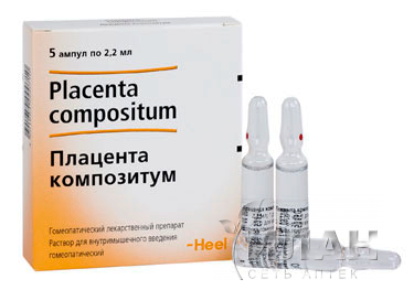 Плацента композитум (Placenta compositum)