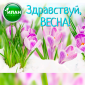 «Весна идёт – весне дорогу!»