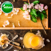 9 фактов о пользе мёда